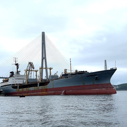 Вокруг Владивостока на катере: море, музыка, гребешок и бокал игристого