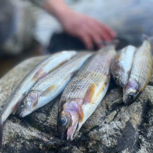 Путешествие на Байкал: рыбалка на судне, лучшие локации Ольхона и места силы