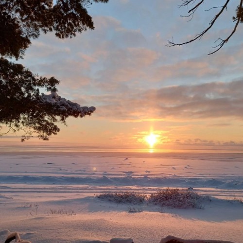 Финское наследие Зеленогорска/Терийоки