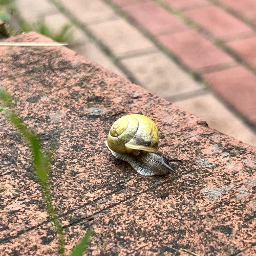 Гранд-тур по Калининграду и области с выбором экскурсий