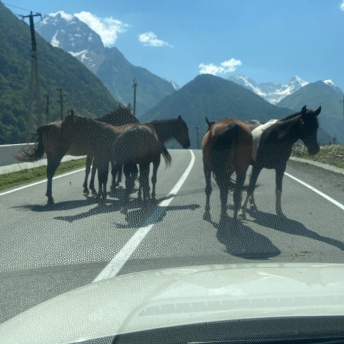 Персональная поездка по Дигории: природа и отдых в термальных источниках