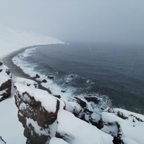 Териберка, Мурманск и деревня саамов: приключения на Кольском с поездкой за сиянием и поиском китов