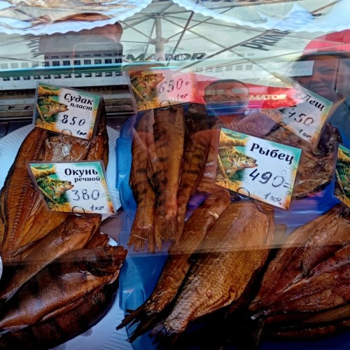 Гастротур по Калининградской области и Куршской косе