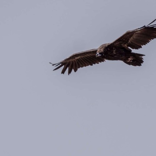 Наедине с Алтаем: высокогорные озёра, живописные долины и неземной ландшафт (всё включено)