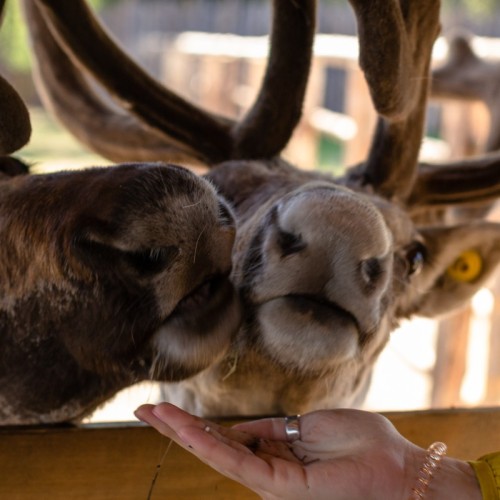 Активные выходные в Карелии: Рускеала и сплав по Янисйоки