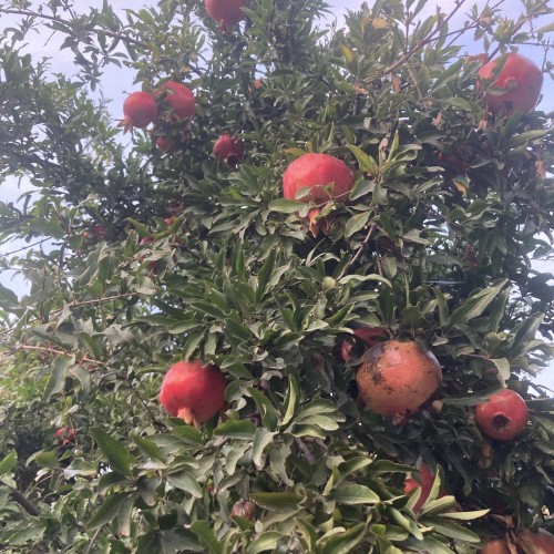 Ни в чём себе не отказывать в Дагестане: джип-путешествие по знаковым локациям