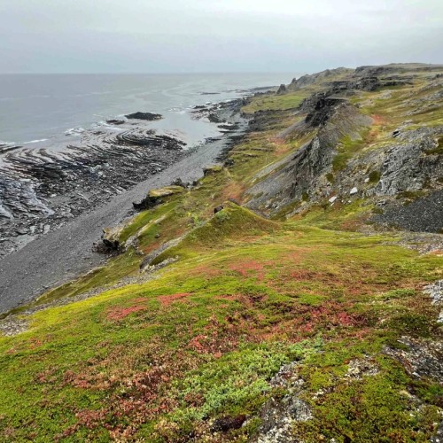 Индивидуальный джип-выезд на Средний и Рыбачий: история Севера и арктические ландшафты