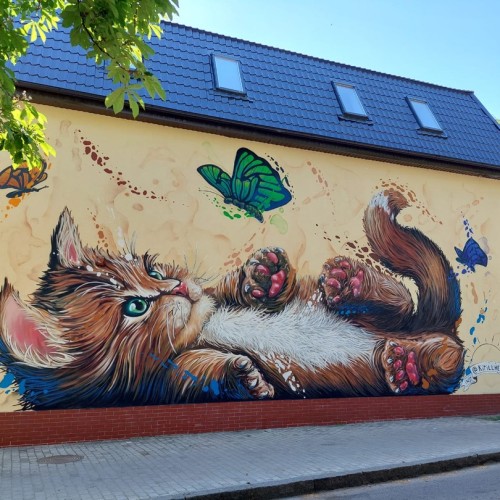 Более 9 городов Калининградской области: автопутешествие только для вашей компании