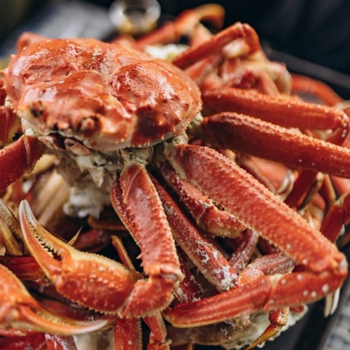 Океан впечатлений на Камчатке с фотографом: треккинги, спа, обед с видом на горы и ночь в глэмпинге