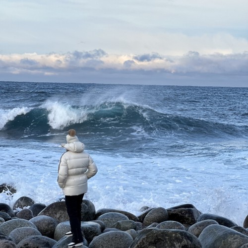 Своей компанией на Русский Север: Мурманск, Териберка, Кировск и саамы