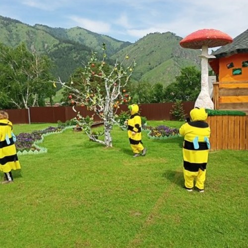 Из Новосибирска в Горный Алтай. Путешествие по топовым локациям