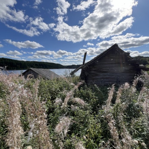Путешествие в Кенозерье под парусом: наедине с природой и историей (всё включено)