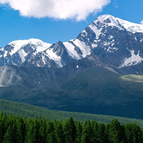 Лиловый наряд Алтая: путешествие по знаковым локациям и цветение маральника