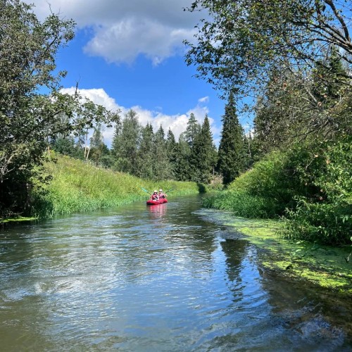 Первый раз с веслом в руках: лёгкий сплав по реке Воре (всё включено)