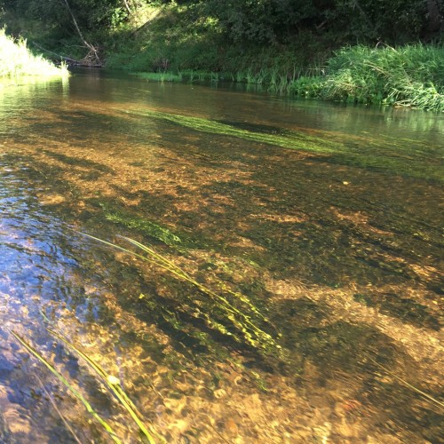 В объятиях Тьмы: лёгкий сплав на байдарках (всё включено)