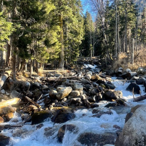 Своей компанией по Домбаю: Тебердинский заповедник, горы, пещеры, озёра
