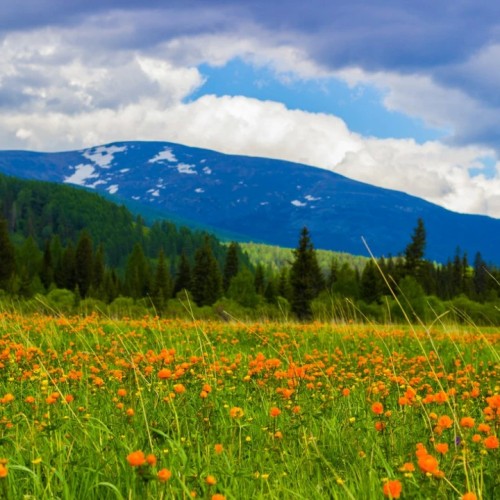 Автотур по Алтаю: смотреть во все глаза