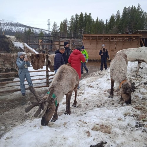 За Полярный круг: в гости к саамам, охота за сиянием и экскурсии по Мурманску и Териберке