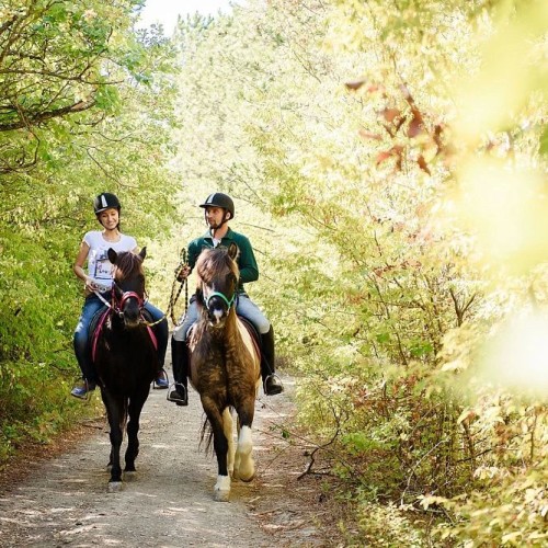 Выходные вдвоём в Абрау-Дюрсо с отдыхом в бане, конной прогулкой и лёгкими экскурсиями