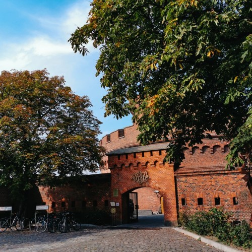 Гранд-тур по Калининграду и области с выбором экскурсий