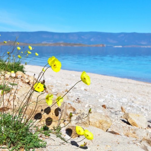 На Байкал с комфортом: путешествие по знаковым локациям и спа по-сибирски