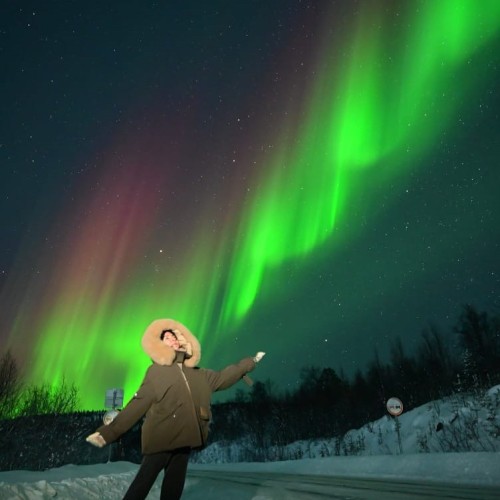 Экспресс-путешествие в Арктику: Мурманск, Териберка и Кировск, северное сияние и милые олени