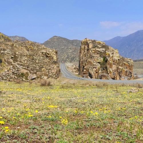 Перезагрузка на Алтае: топ локаций, заповедное озеро и моторафтинг по Катуни