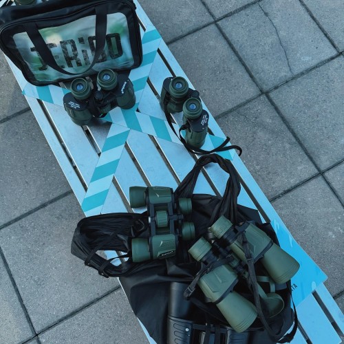 На крышу Петербурга