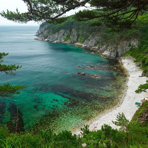 Гастрономическое путешествие в русский Сан-Франциско