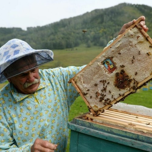 Золотое кольцо Алтая: Чуйский тракт, Телецкое озеро и Чулышманская долина в мини-группе