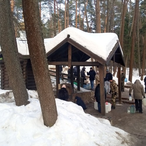 Лесная сказка в Подосинках