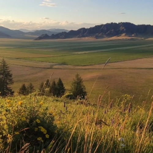 По озёрам, горам и степям с комфортом: 4 дня на Алтае