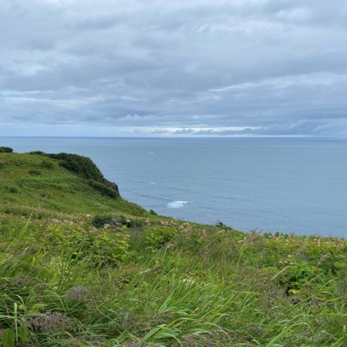 Камчатка в мини-группе: перевалы, бухты, сопки и купание в природных источниках