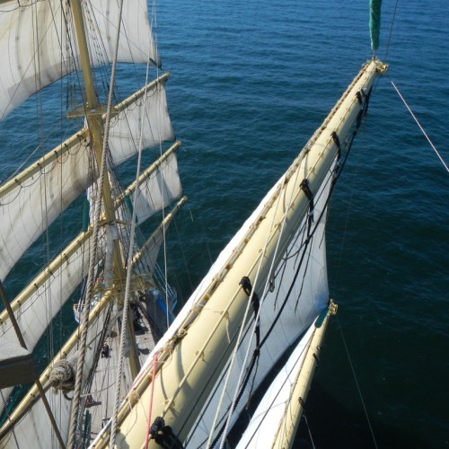 В экспедицию на корабле: из Калининграда в Санкт-Петербург