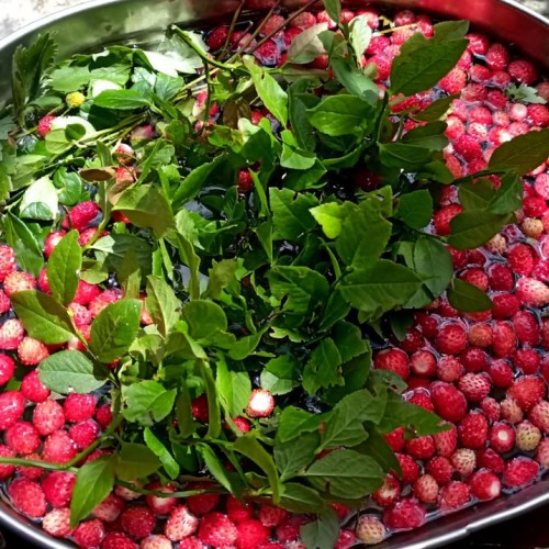 Треккинг в Цейском ущелье налегке с проживанием в гостинице (всё включено)