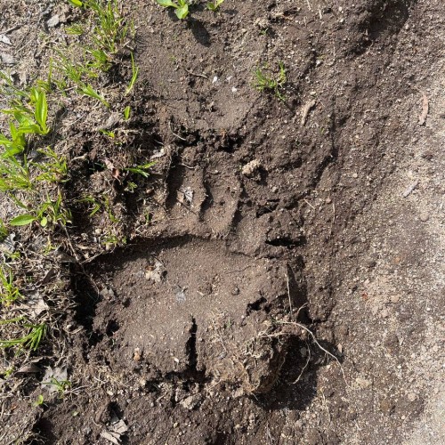 Увидеть душу Камчатки: джип-тур по неизведанным местам с круизом по Курильскому озеру (всё включено)