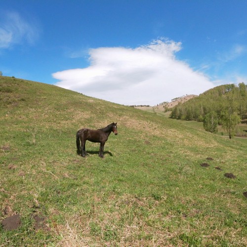 Треккинг по хребту над долиной Катуни