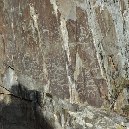 Авторская экскурсия по древним памятникам Алтая