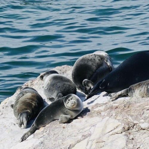 Восточное побережье Байкала: бурятские вкусности, Баргузинская долина и Чивыркуйский залив