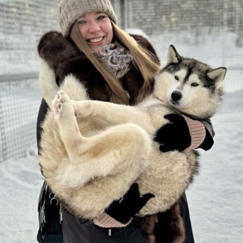 Море, горы и быт местных: всё главное на Кольском только для вашей компании