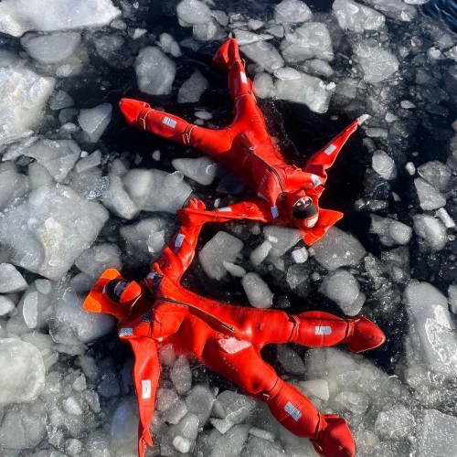 Сияние, киты и ты: Арктика с айс-флоатингом и этнопрограммой, выходом в море и посещением Териберки