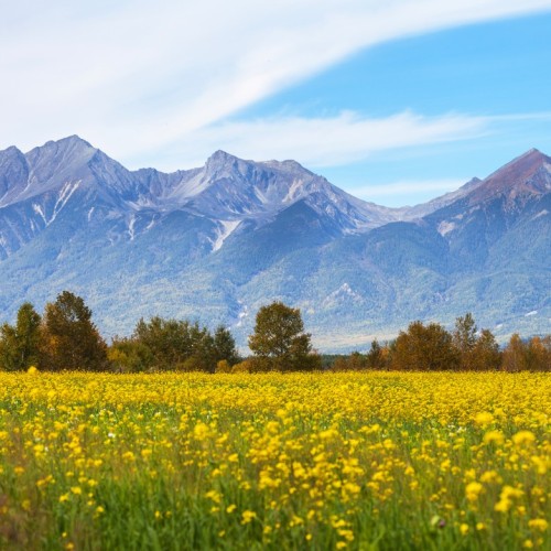 Сокровища Восточной Сибири: Иркутск, Аршан, Тункинская долина и Ольхон