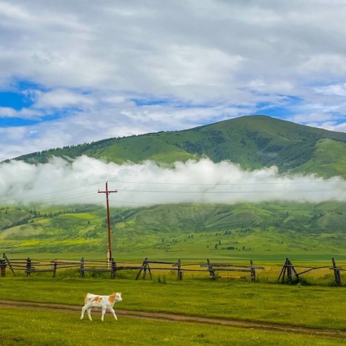 Бороздим просторы Алтая верхом: активный тур для опытных всадников с фотосъёмкой