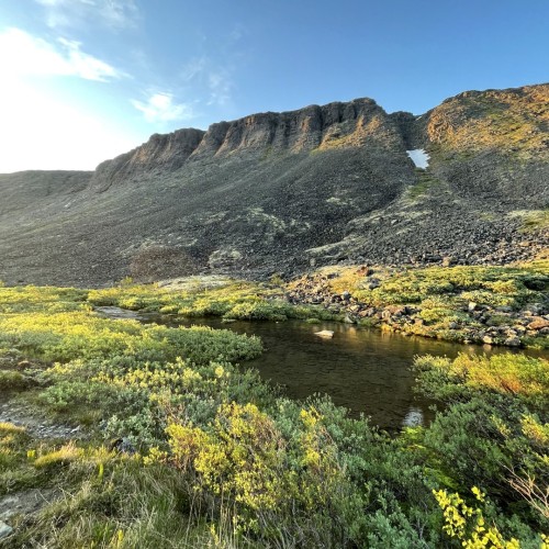 Своей компанией на Русский Север: Мурманск, Териберка, Кировск и саамы
