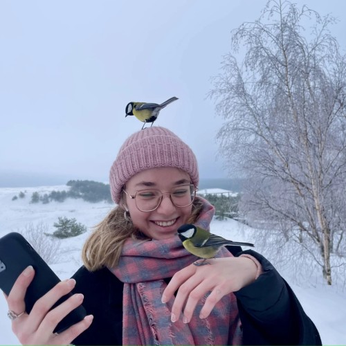 Утренняя Куршская коса, Зеленоградск и замок Нессельбек на автобусе