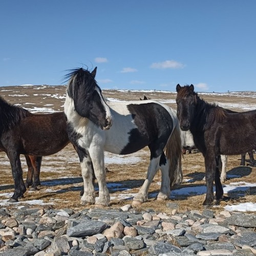 На джипе по Ольхону в мини-группе: север и юг