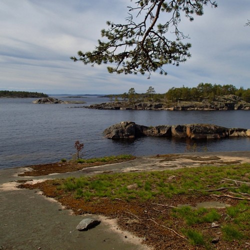На «железном коне» по Карелии: велопрогулки по природным достопримечательностям