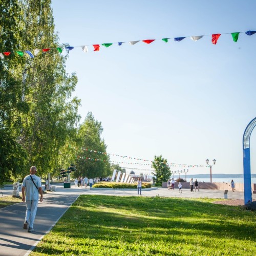 В гости к хаски — из Петрозаводска