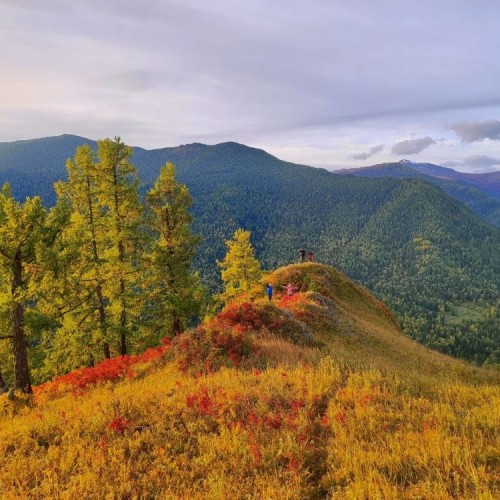 Насыщенное авто-пешее путешествие по Горному Алтаю