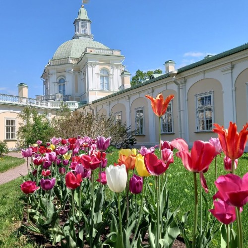 Ораниенбаум: взлёты и падения